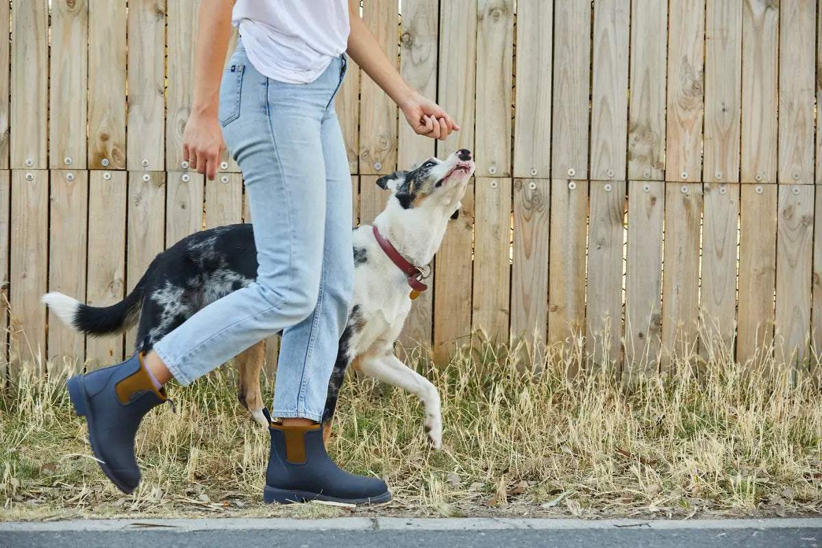 Best Dog Walking Wellies