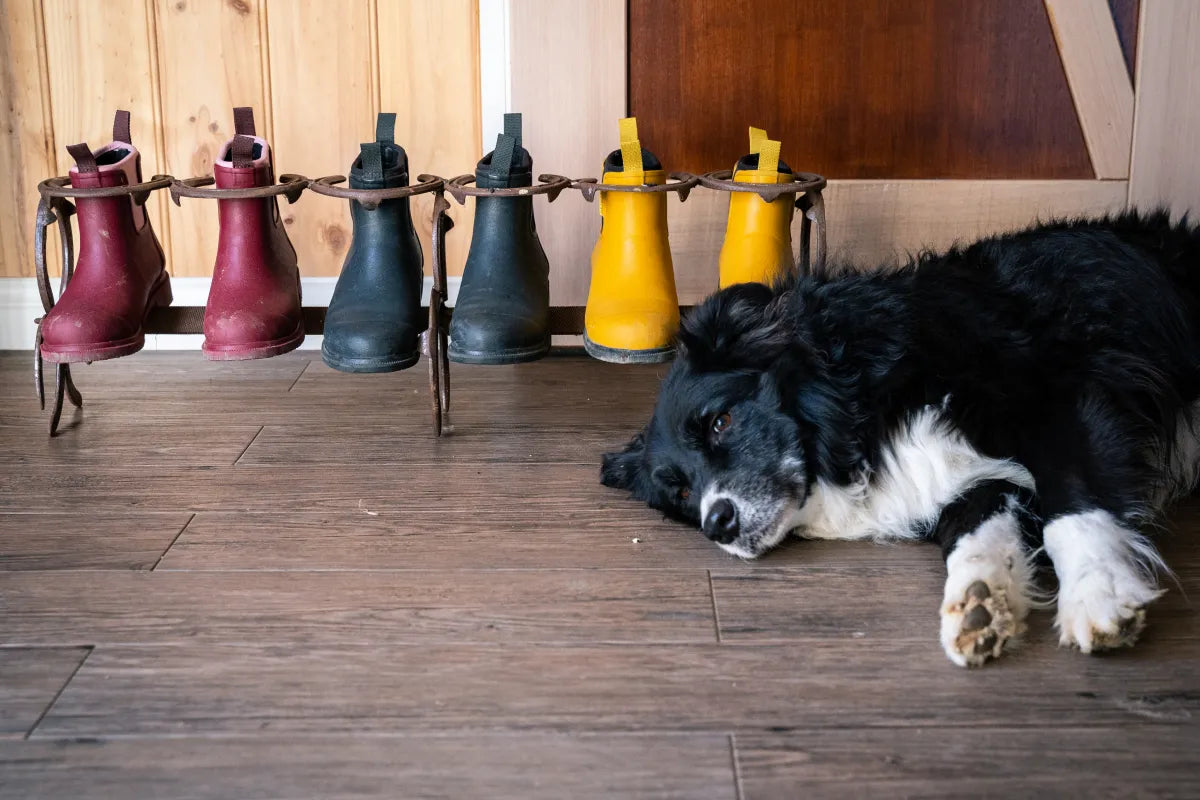 How To Care For Wellington Boots