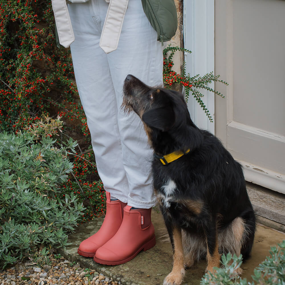 Bobbi Wellington Boot // Clay