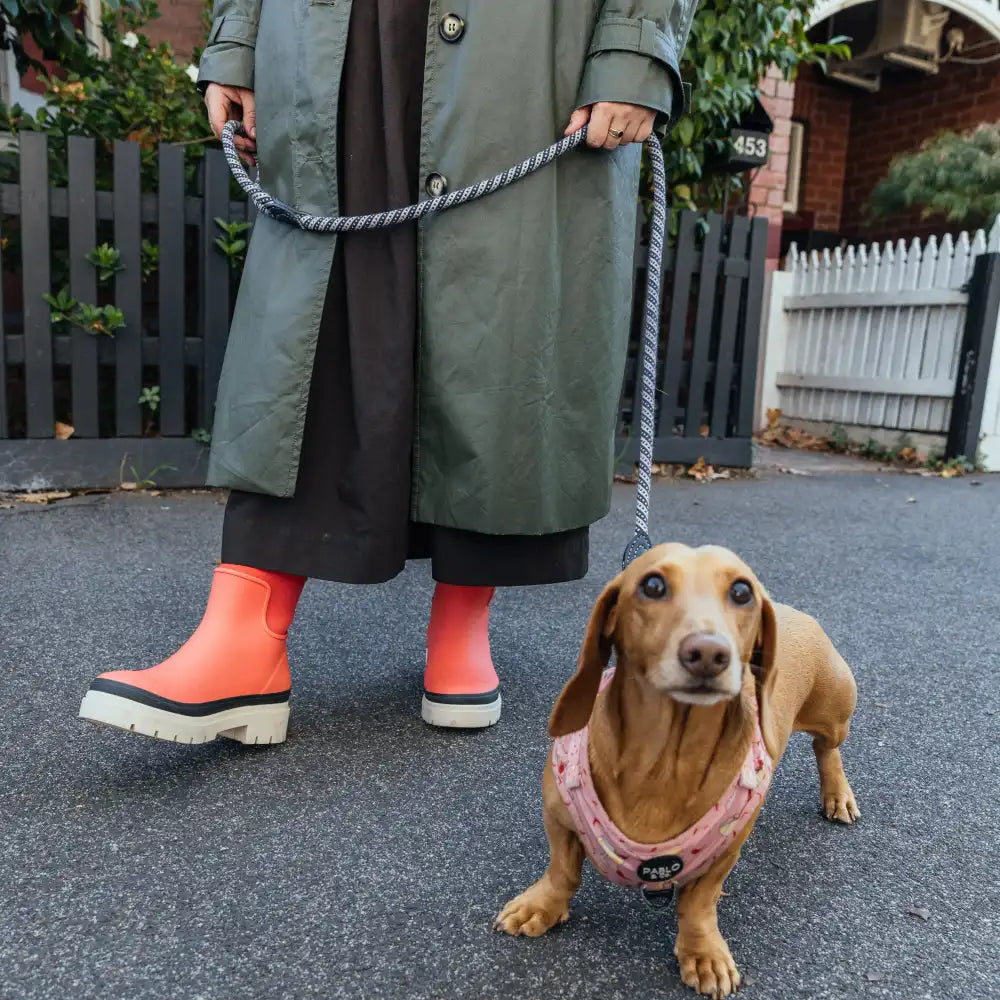 Tully Boot // Coral