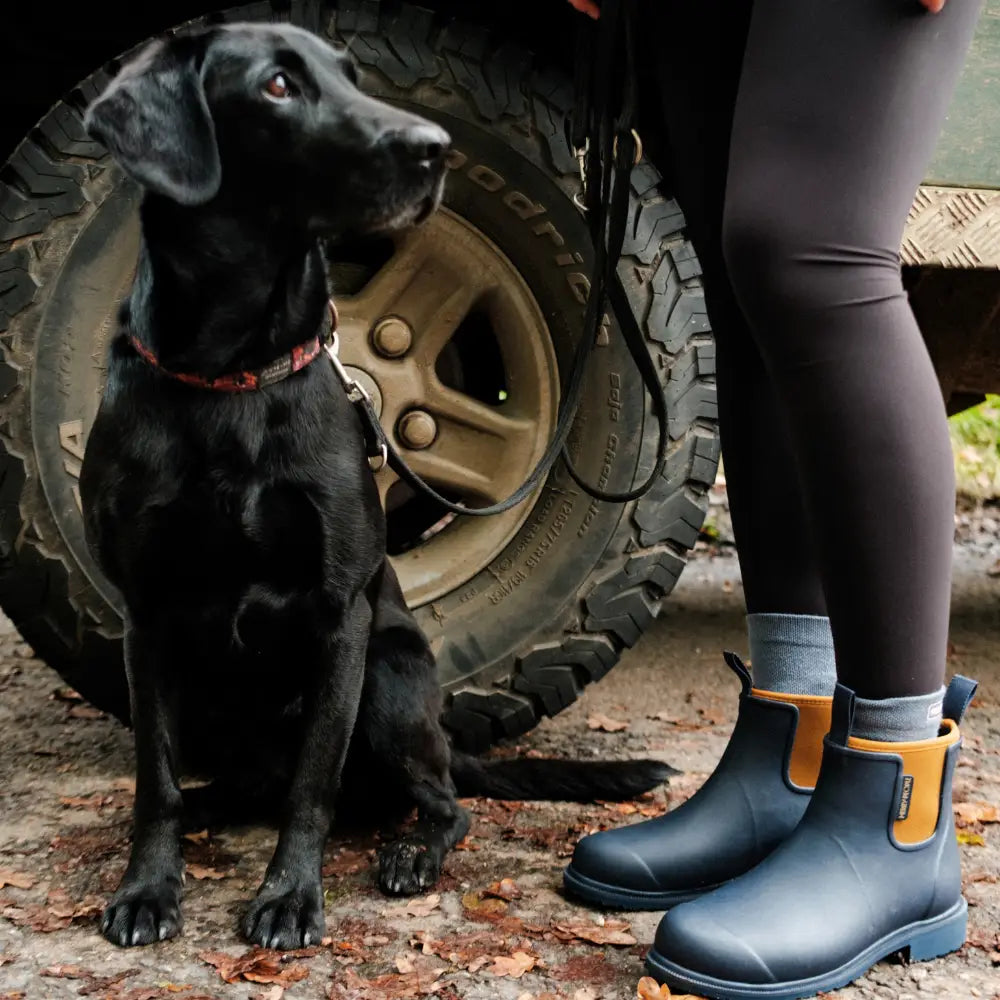 Bobbi Wellington Boot // Oxford Blue & Tan