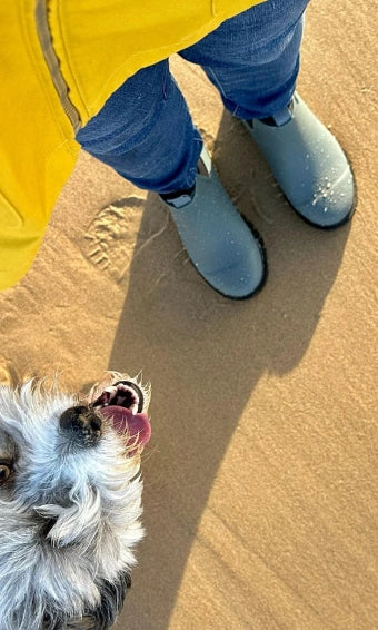 Image by bordoodle_bailey_and_catsby