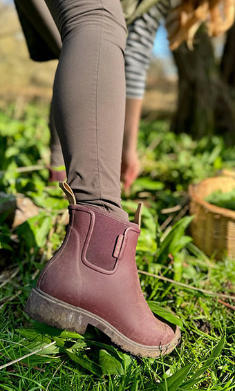 Image by suffolksisters