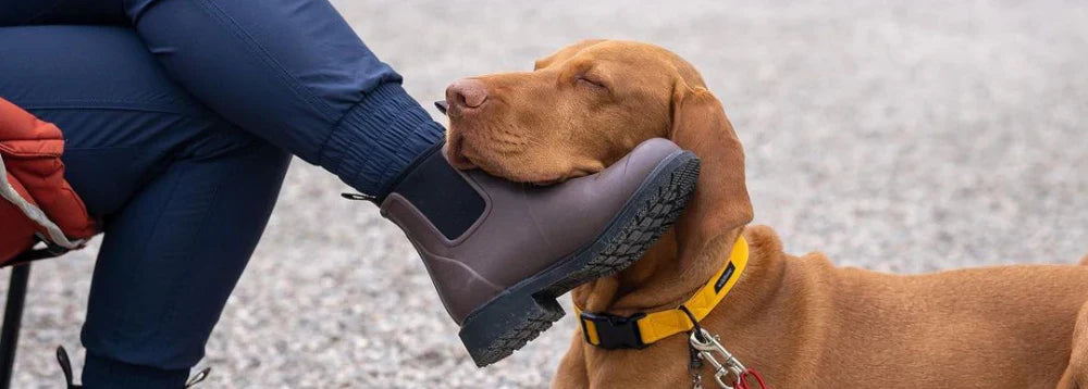 Here's Why These Are the Wellies for Dog Walking