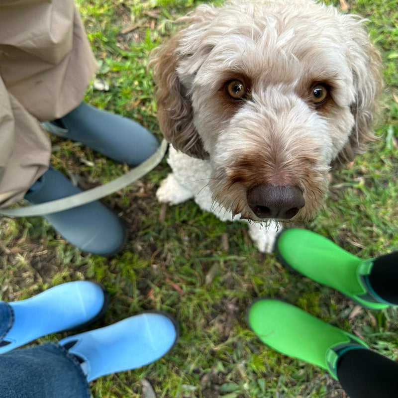 Best Wellies For Dog Walking