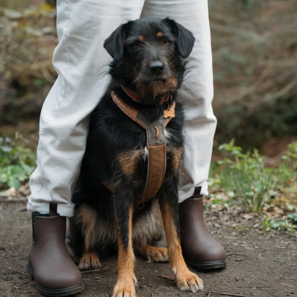 Bobbi Wellington Boot // Chocolate & Black